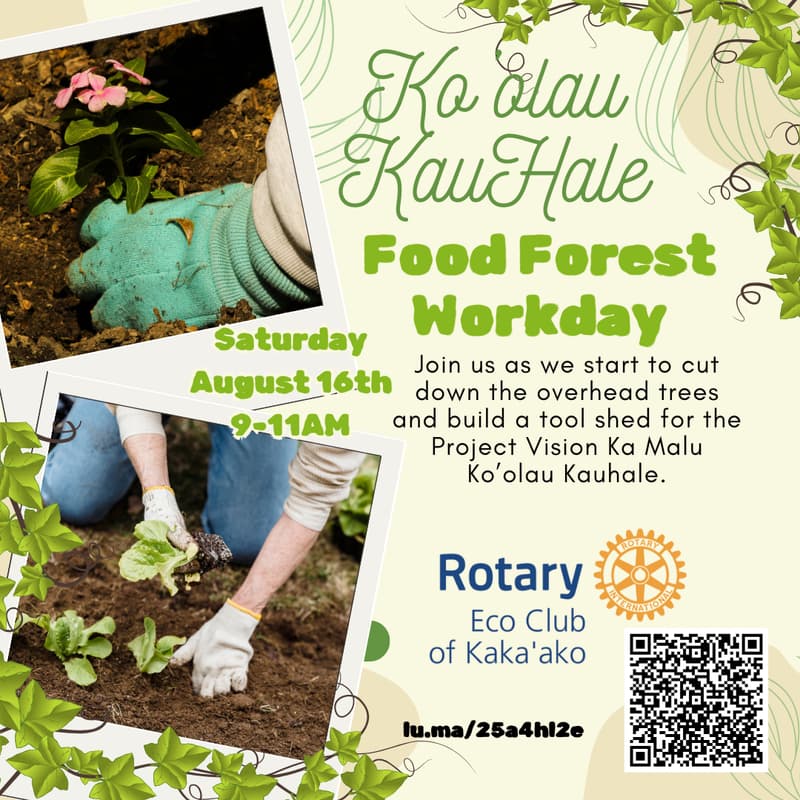 Cover Image for Ko'olau KauHale