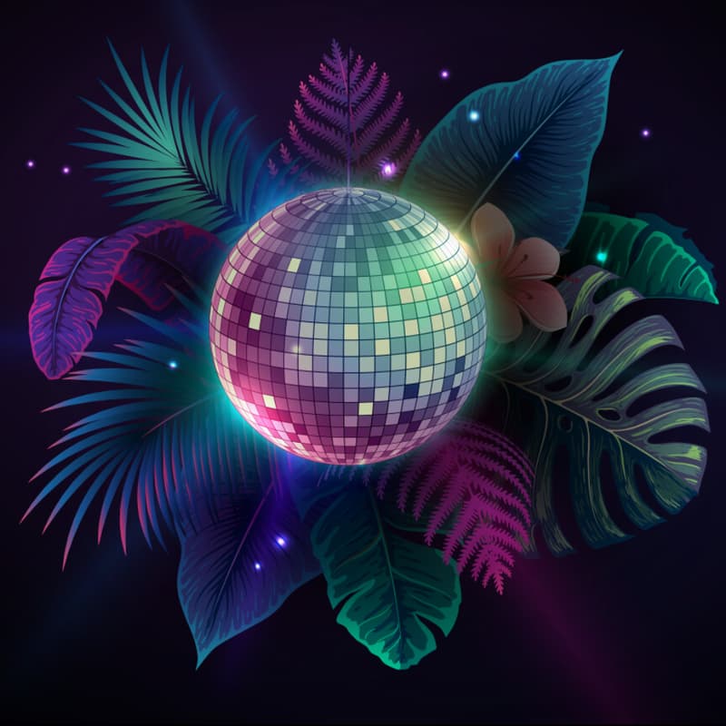 Cover Image for Nature Disco