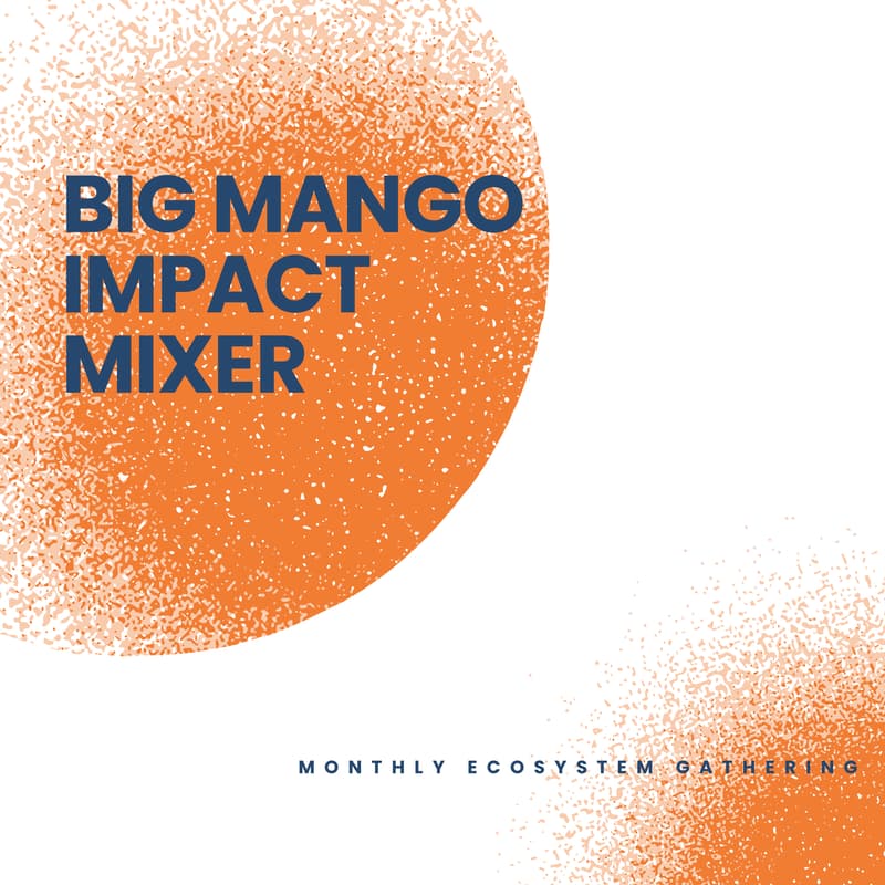 Cover Image for Big Mango Impact Mixer