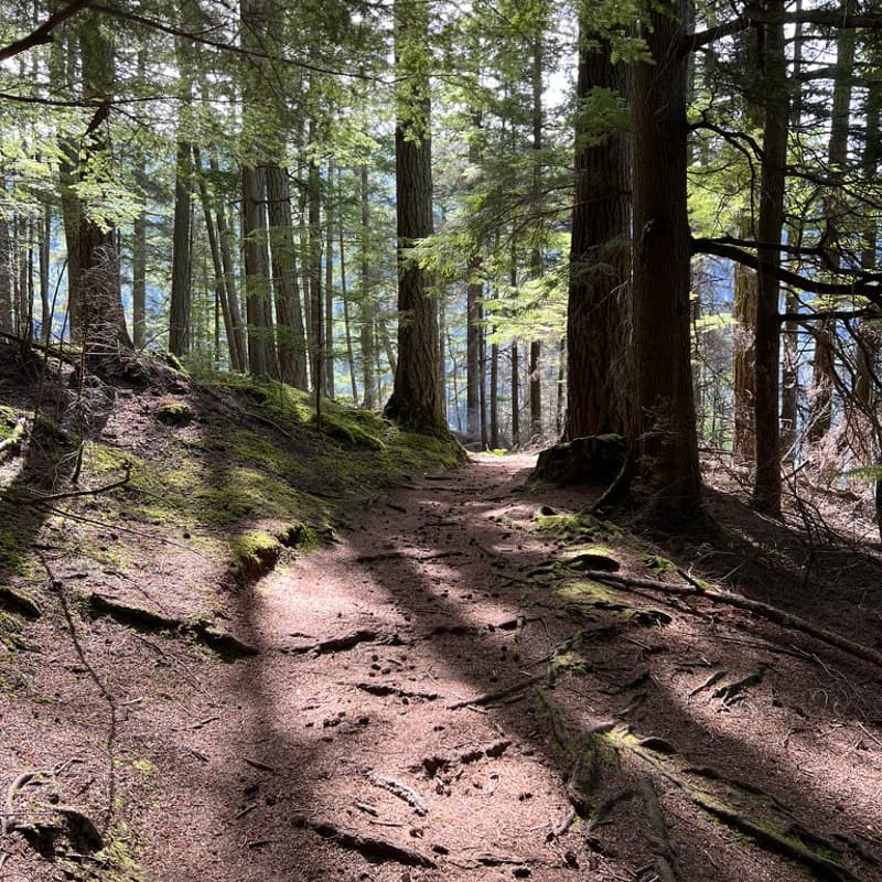 Cover Image for Spring Warm Data Lab in Seattle!