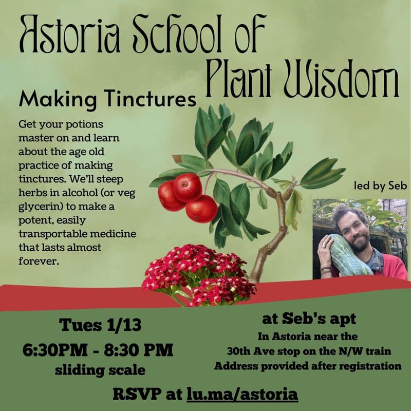 Cover Image for Making Tinctures