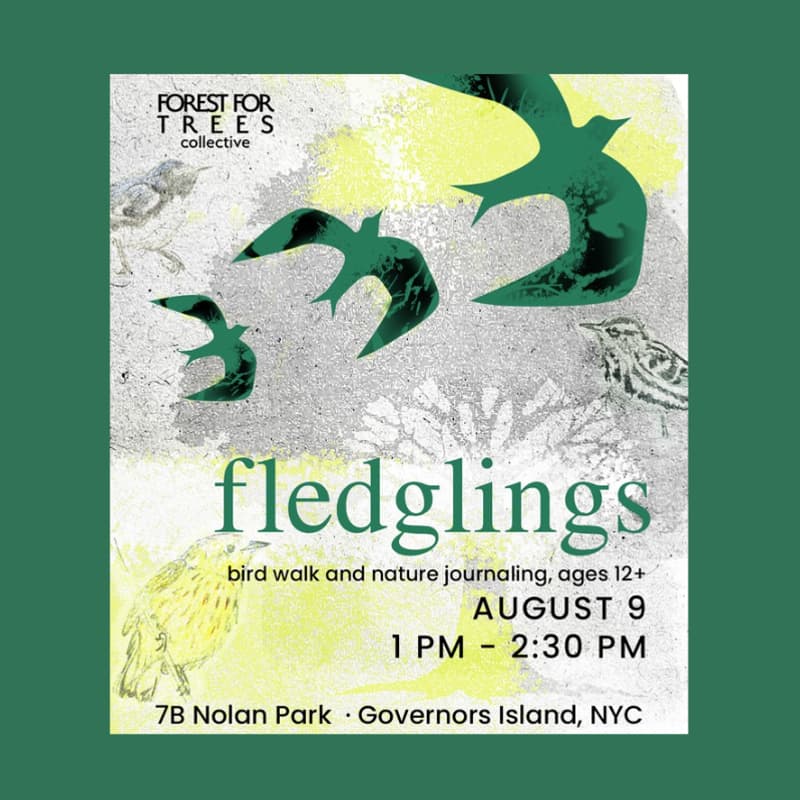 Cover Image for Fledglings