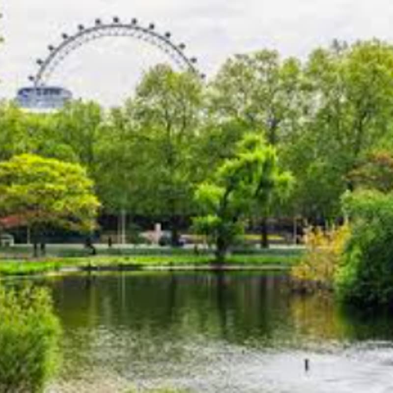 Cover Image for Founder Mums Walk & Talk - London