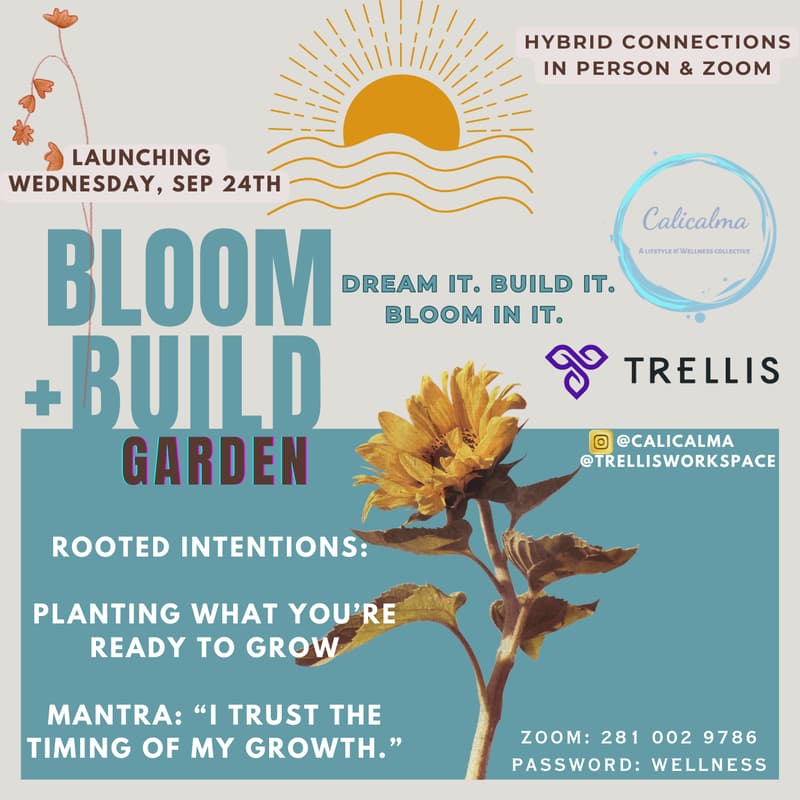 Cover Image for The Calm Core: Bloom + Build
