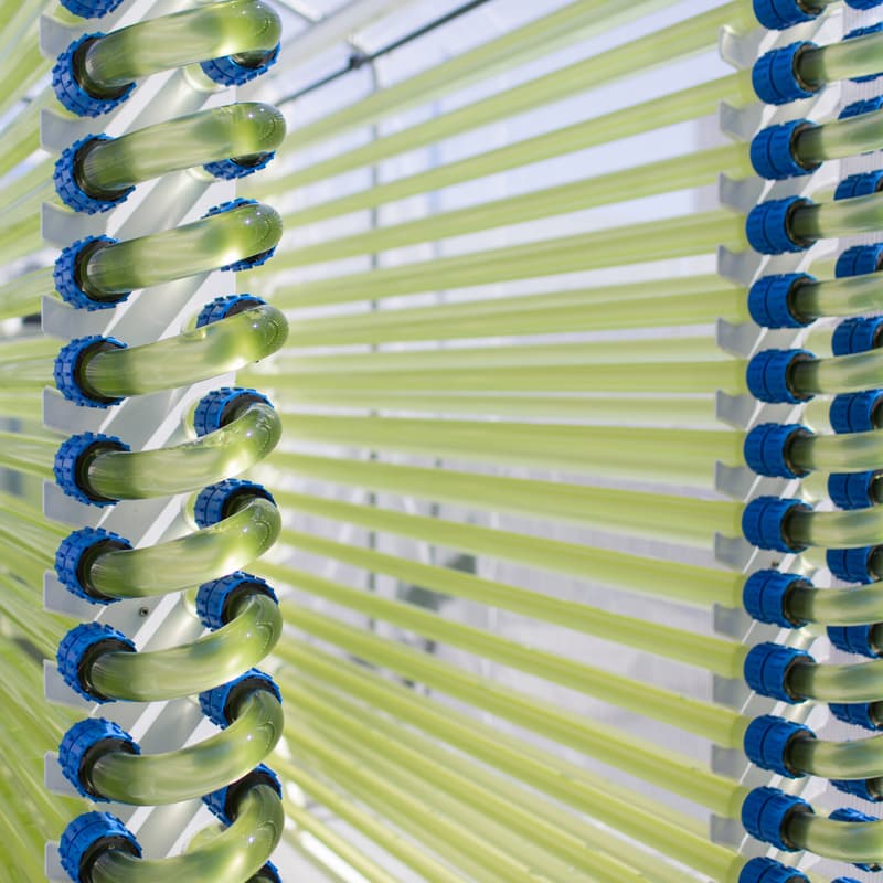 Cover Image for Climate Change Cluster Tour