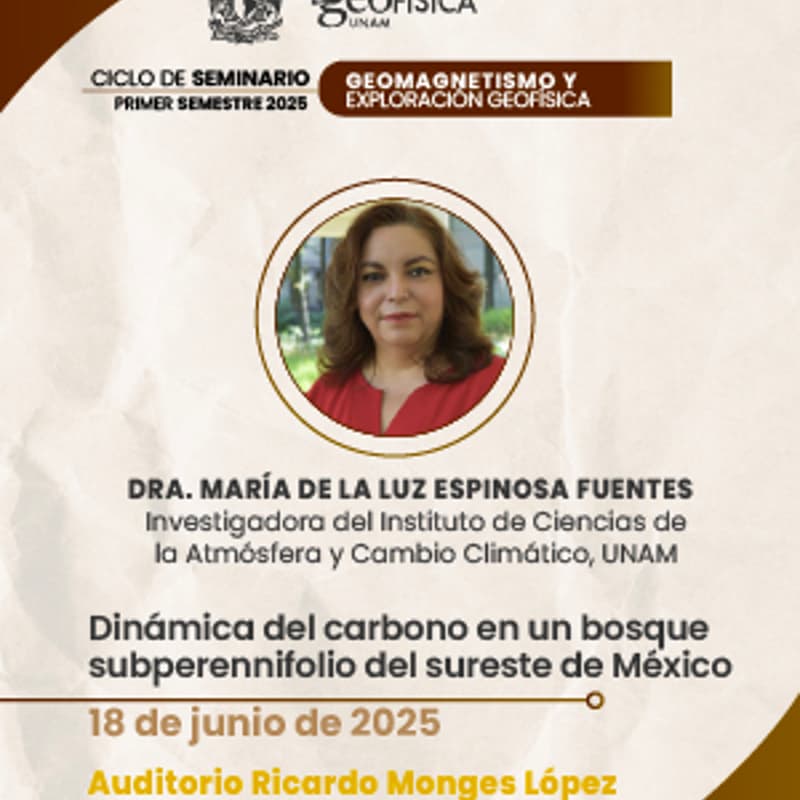 Foto de portada de Dinámica del carbono en un bosque subperennifolio del sureste de México