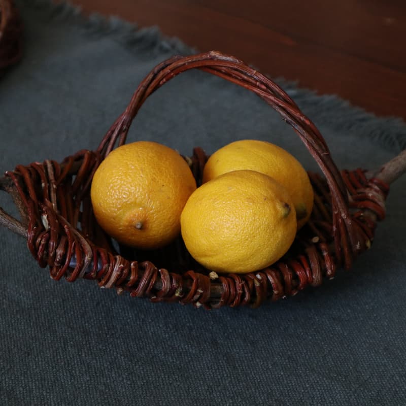 Cover Image for Woven from the Wild: A Foraged Branch Basket Workshop