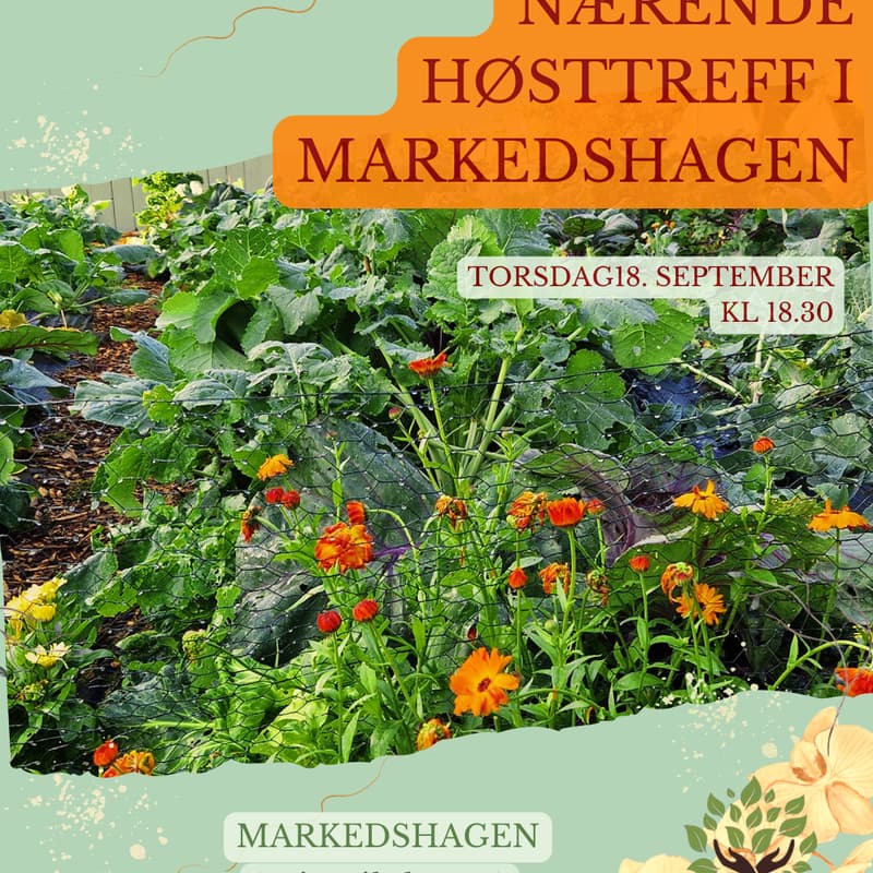Cover Image for Nærende høsttreff i Markedshagen (Bergen)