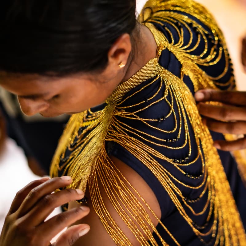 Cover Image for From the Amazon to the Runway