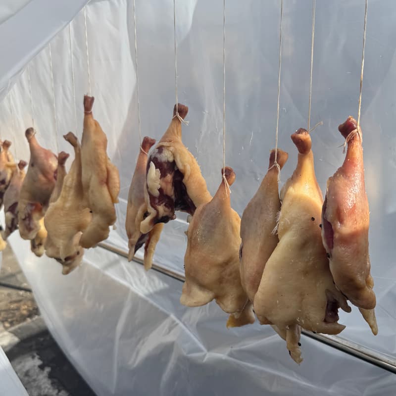 Cover Image for Winter Cure Workshop: Wèi Collective x Zoe Yang