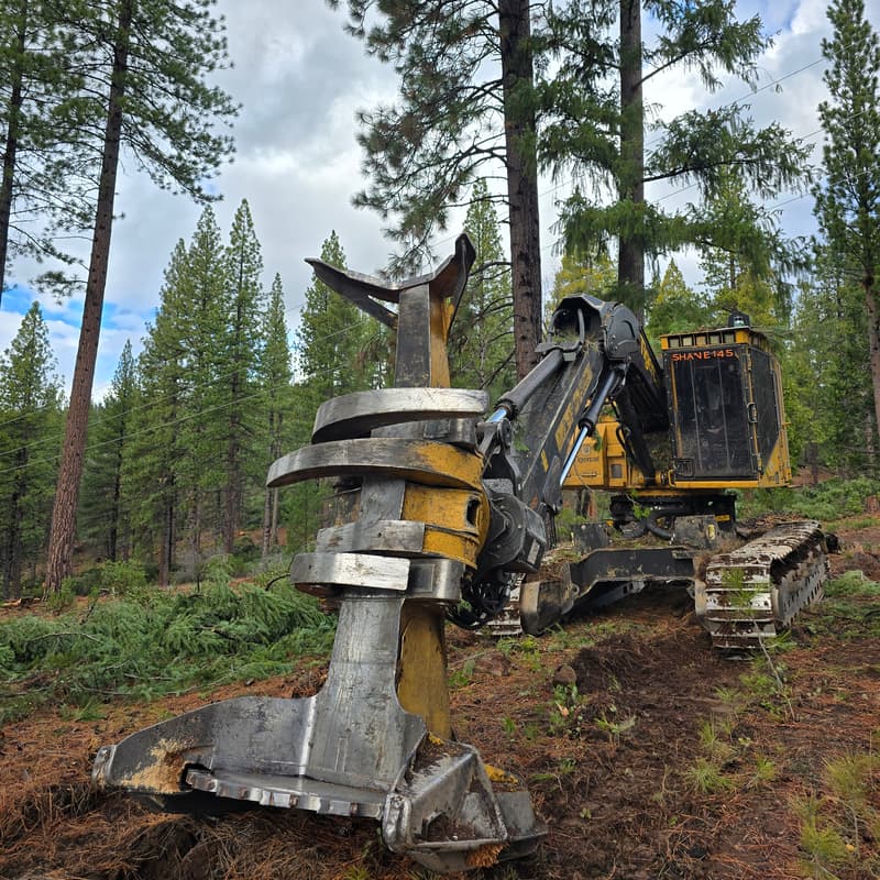 Cover Image for Forest and Friends - February 26, 2026