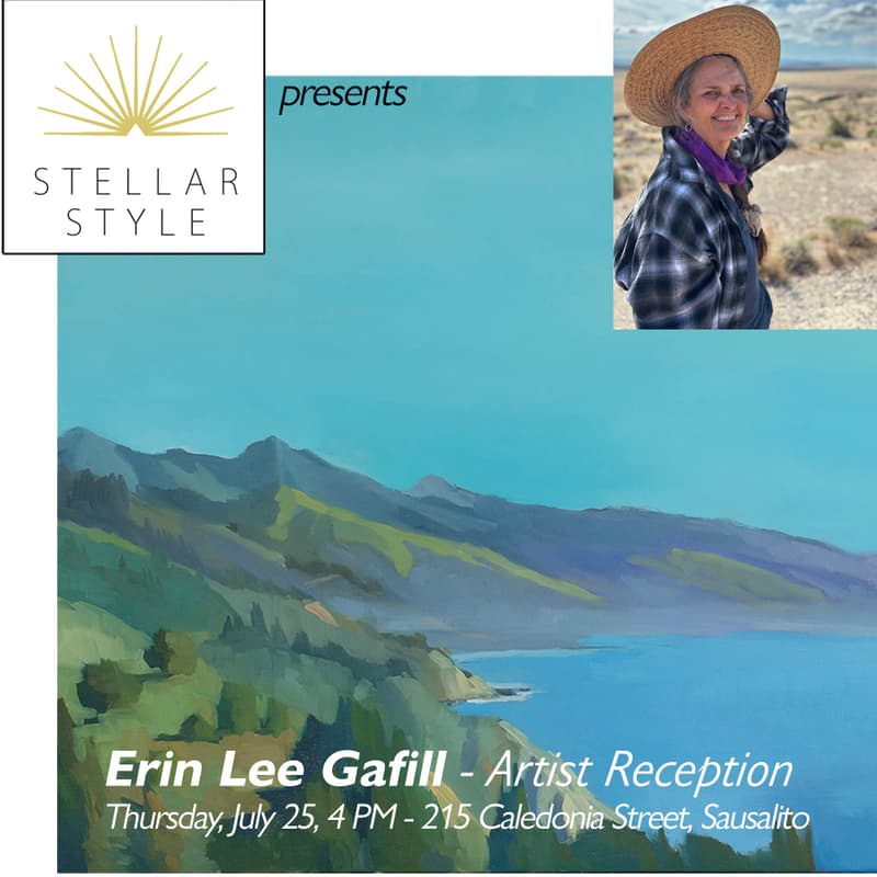 Cover Image for Stellar Style - Erin Lee Gafill