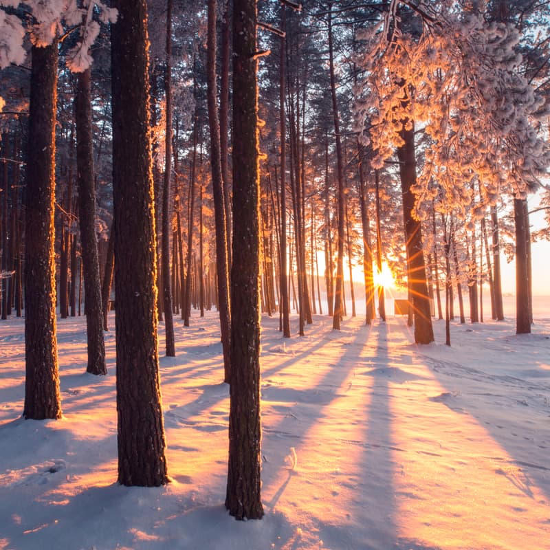 Cover Image for Café Quiz: Winter Edition [Eiswerk]