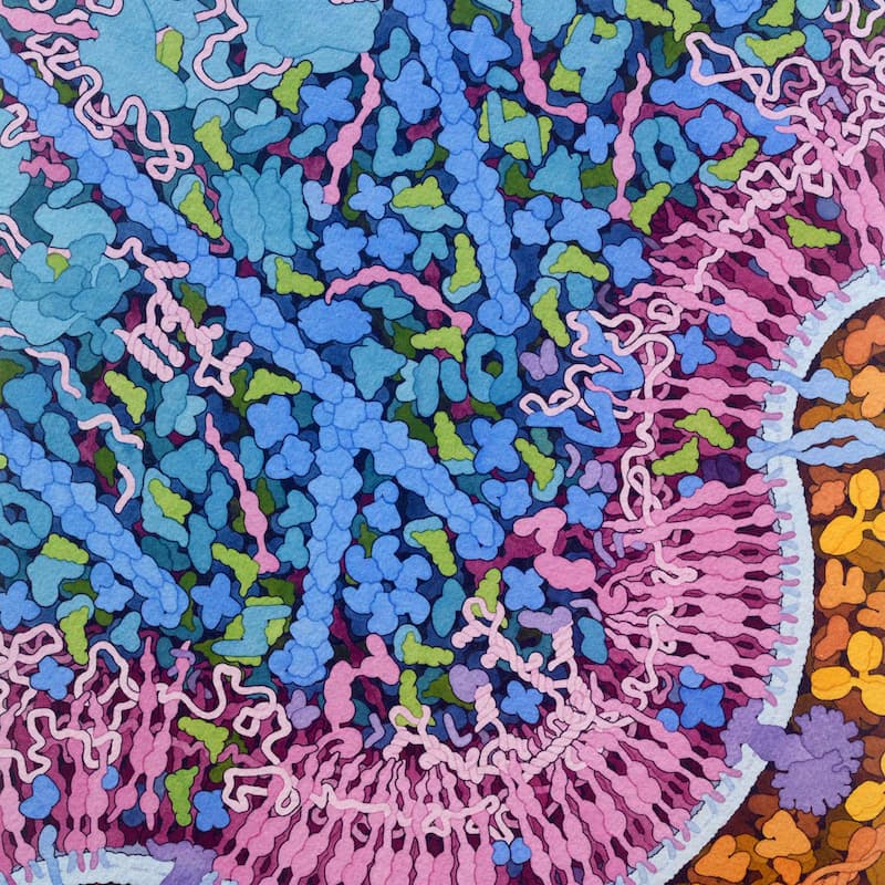 Cover Image for BioML Seminar 9 — Rhiju Das on RNA Modeling