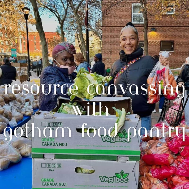 Cover Image for Resource Canvassing with Gotham Food Pantry