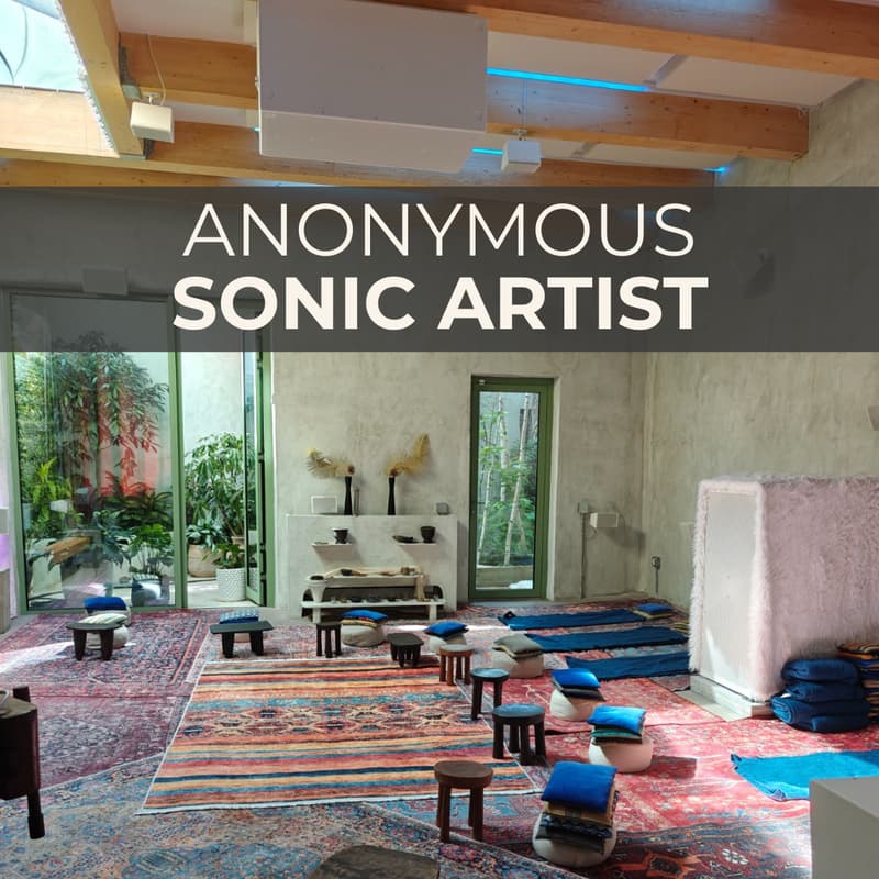 Cover Image for Anonymous Sonic Artist Creates - Open Studio