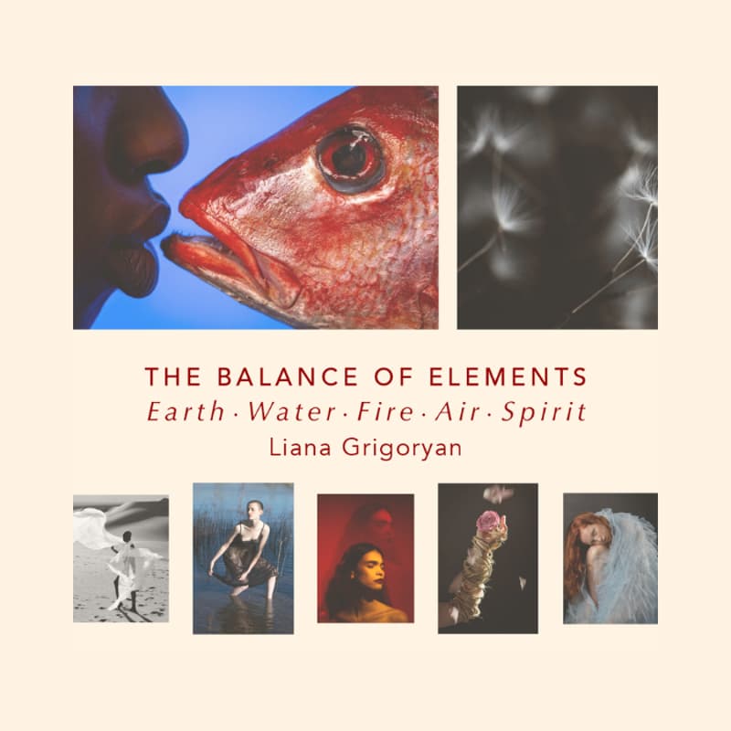Cover Image for Art Show Closing: The Balance of Elements by Liana Grigoryan