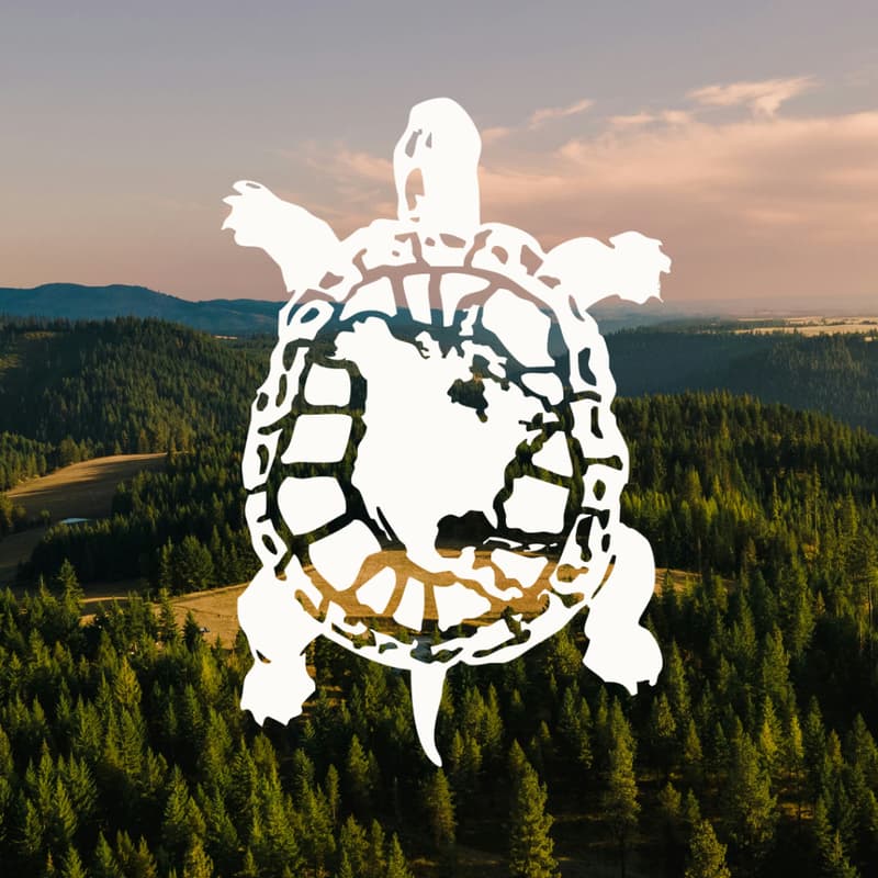 Cover Image for Turtle Island Bioregional Congress - Info Session