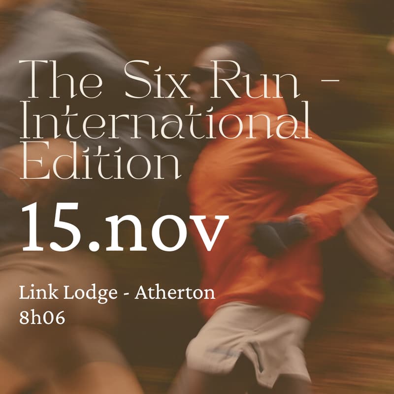 Cover Image for The Six Run