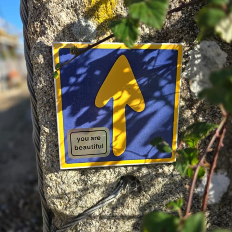 Cover Image for The Journey Within: Camino de Santiago Stories & Practices (free event)