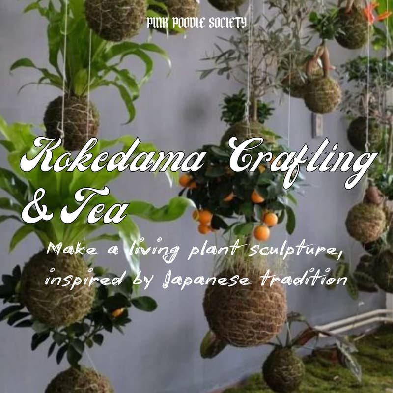 Cover Image for Amsterdam | Kokedama Crafting & Tea