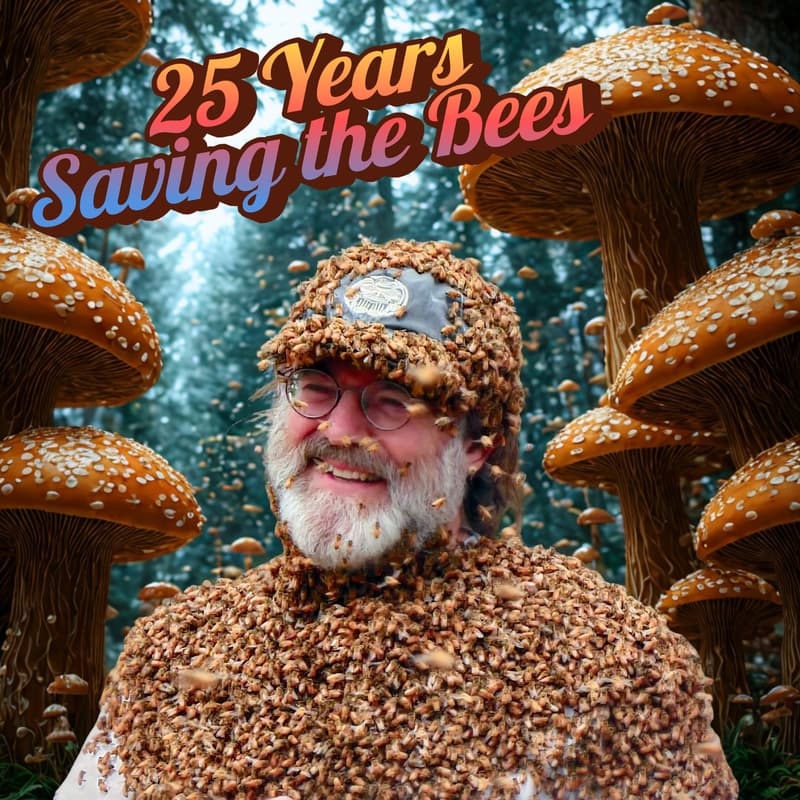 Cover Image for Quorum Earth Presents: An Evening with Paul Stamets (Online)