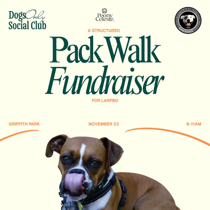 Cover Image for November Pack Walk Fundraiser
