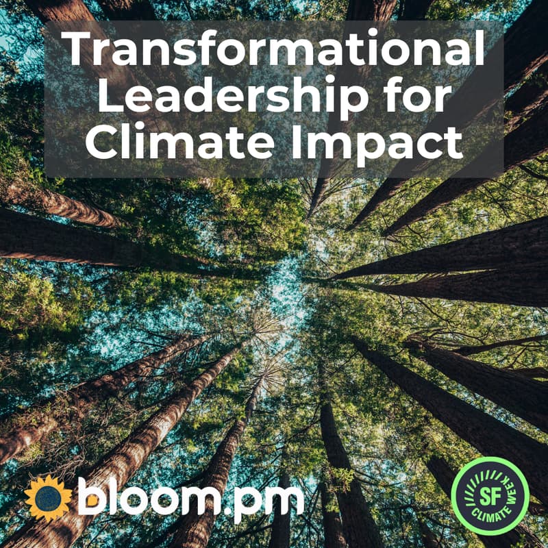 Cover Image for Transformational Leadership for Climate Impact: Bloom, the IDGs (Inner Development Goals), the One Earth Solutions Framework Ikigai, and Joy