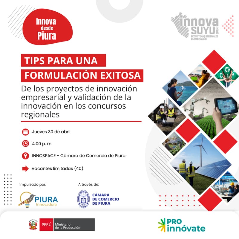 Cover Image for Tips para una formulación exitosa de los proyectos de innovación empresarial y validación de la innovación en los concursos regionales