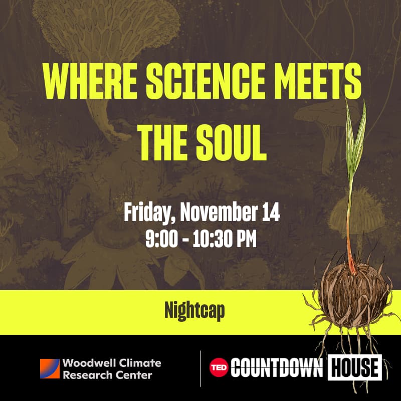 Cover Image for Where science meets the soul - reflective nightcap, preceded by a memorial for David Nabarro