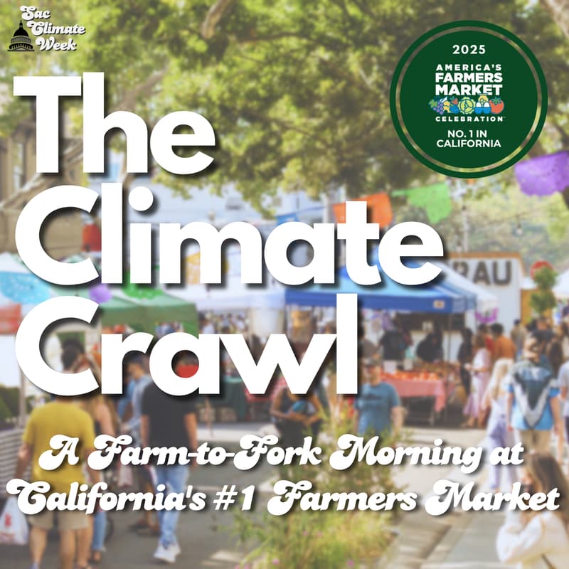 Cover Image for The Climate Crawl