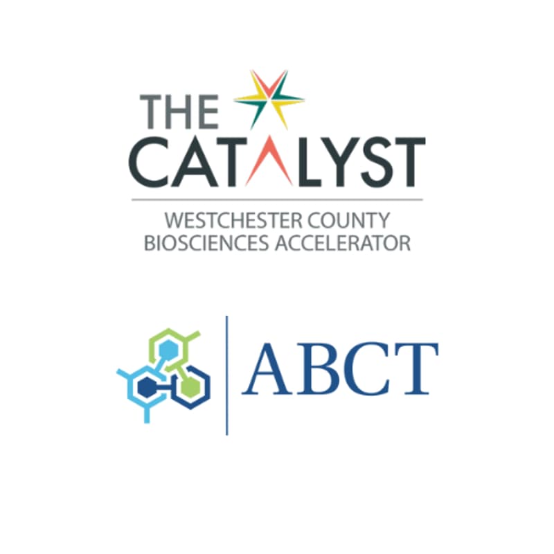 Cover Image for Strengthening Your Application Workshop