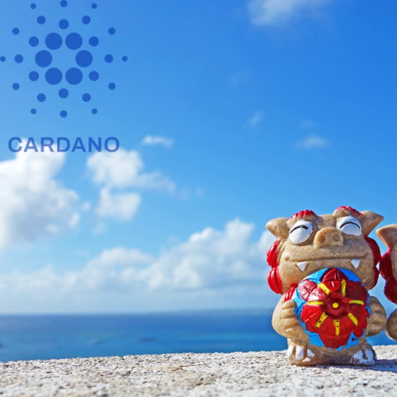 Cover Image for カルダノミートアップ@沖縄🌺 - Cardano Summit 前夜祭 -