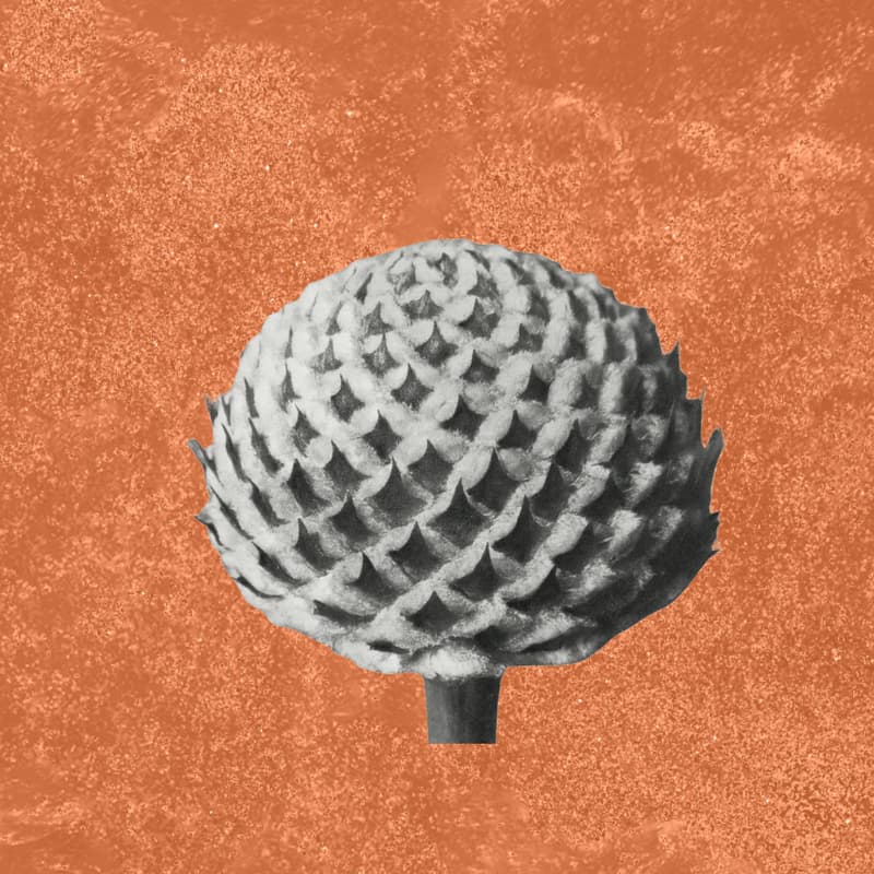 Cover Image for The Intuitive Field: A Whole Body Listening Intensive (8 Week Course)