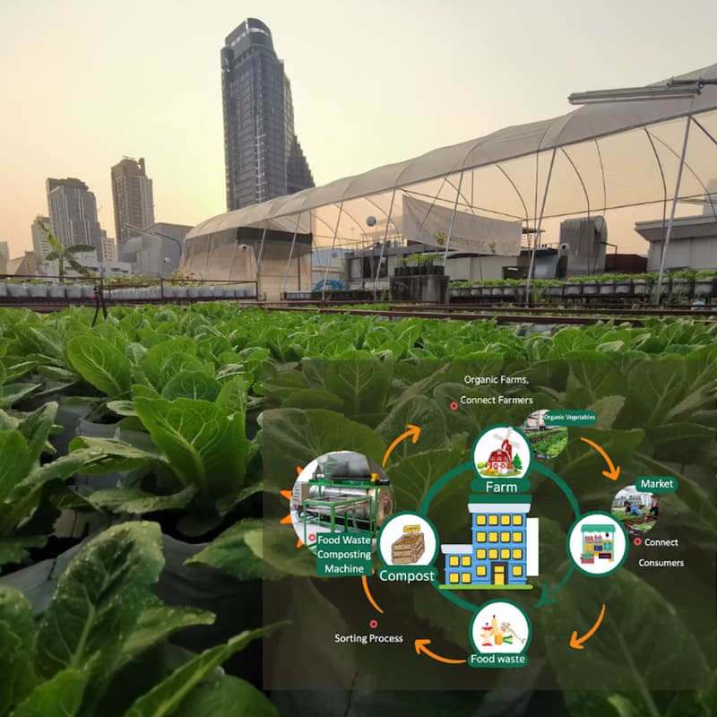 Cover Image for เปิดบ้านฟาร์มหมุนเวียนเปลี่ยนเมือง/ Open House Circular Farm in bangkok