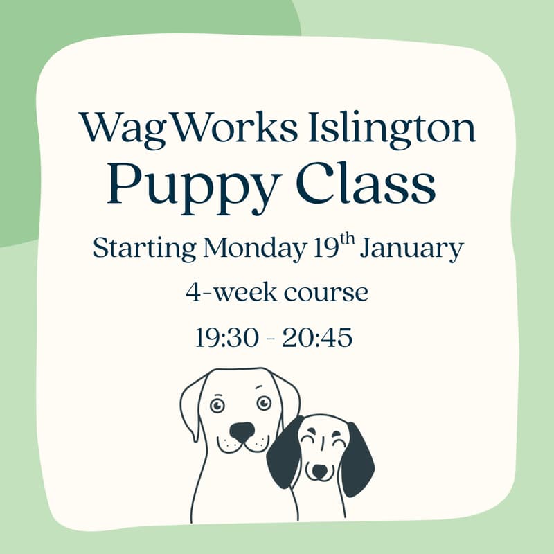 Cover Image for WagWorks Islington Puppy Class