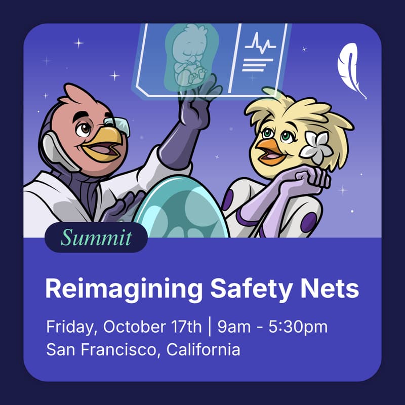 Cover Image for Summit: Reimagining Safety Nets