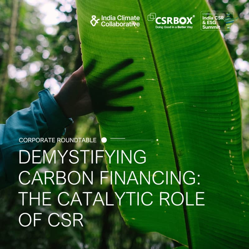 Cover Image for Demystifying Carbon Financing: The Catalytic Role of CSR