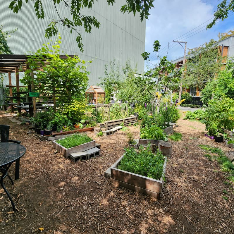 Cover Image for DWebYVR Fall Potluck Party in the coFood Garden