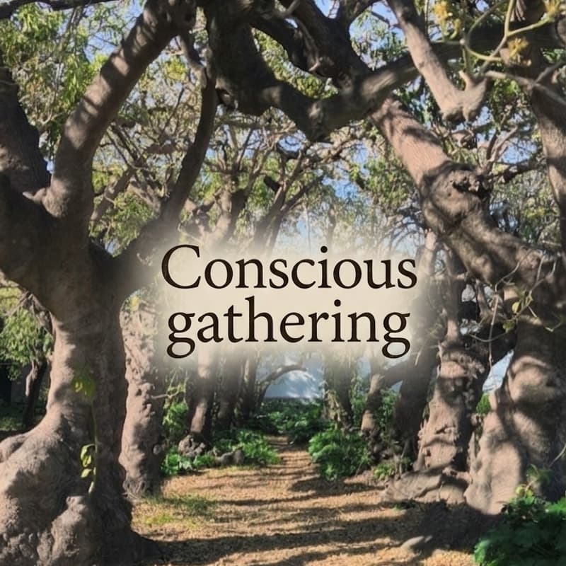 Cover Image for Picnic In The Park II [FREE]