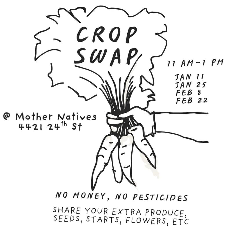 Cover Image for Crop Swap
