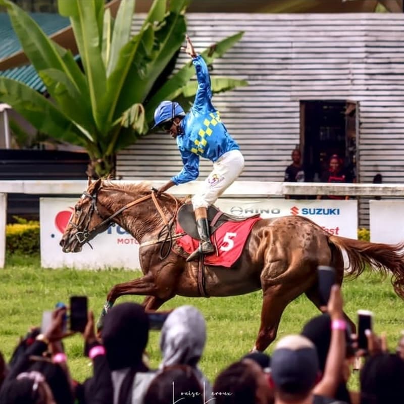 Cover Image for NBO Innovation Connect: Stewards Cup Social Edition