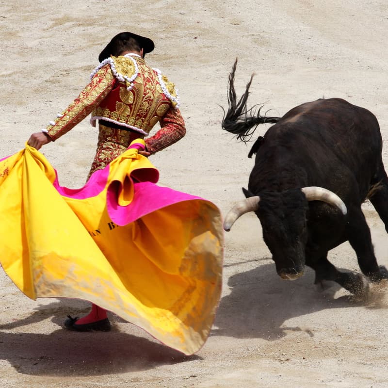 Cover Image for Corrida en Las Ventas - Madrid