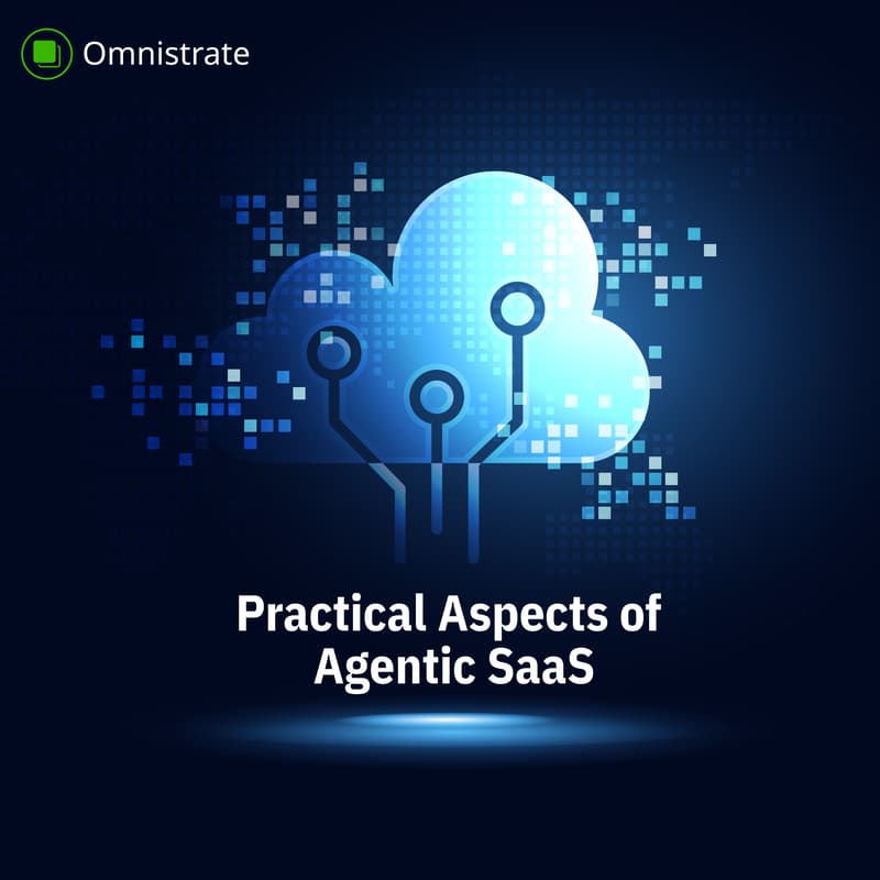 Cover Image for Practical Aspects of Agentic SaaS
