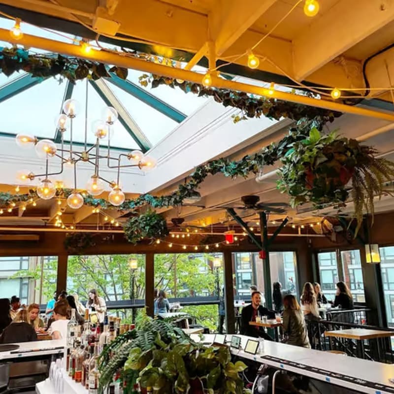 Cover Image for Reading Rhythms Harlem: February 11th