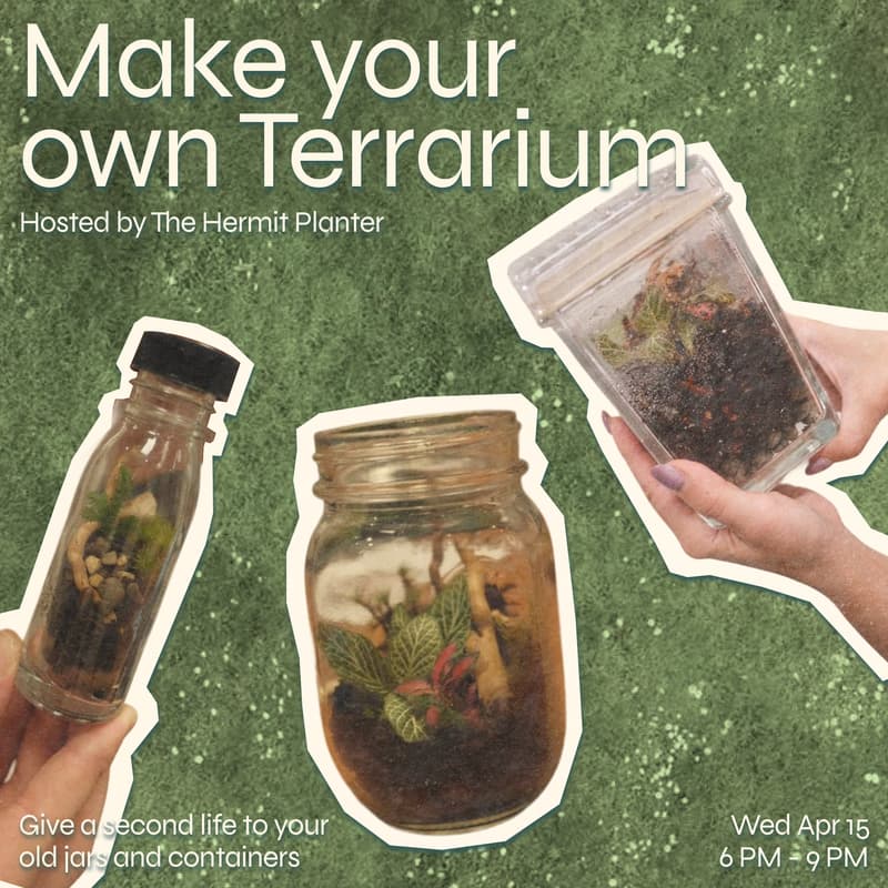 Cover Image for Make your own Terrarium hosted by The Hermit Planter