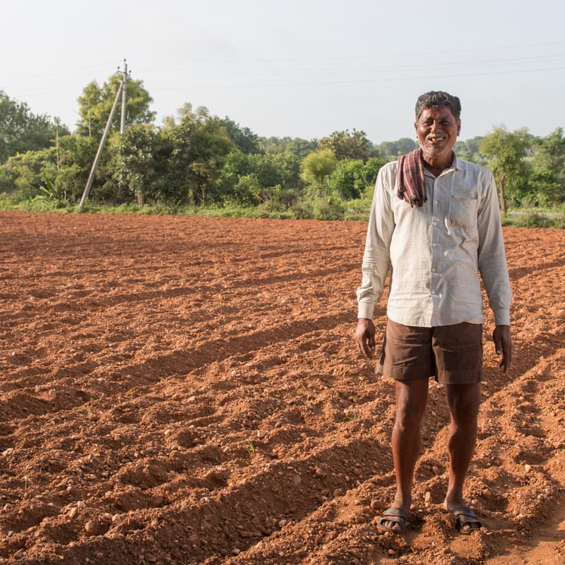 Cover Image for Impact Day Out | Mumbai