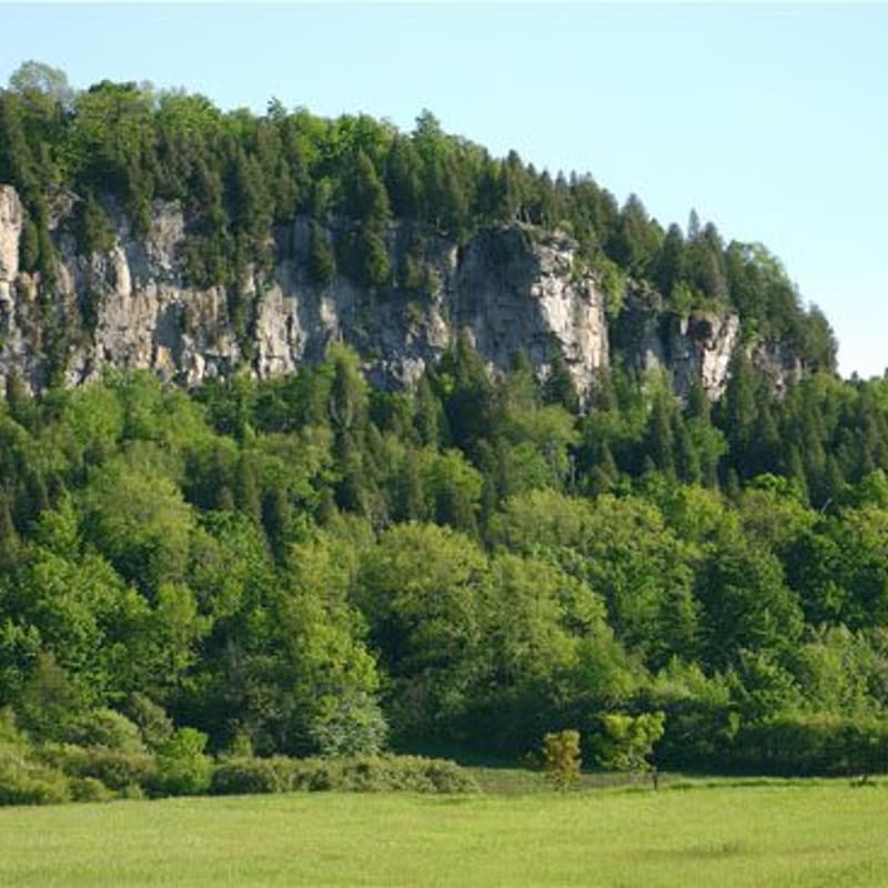 Cover Image for Mount Nemo Conservation Area Hike