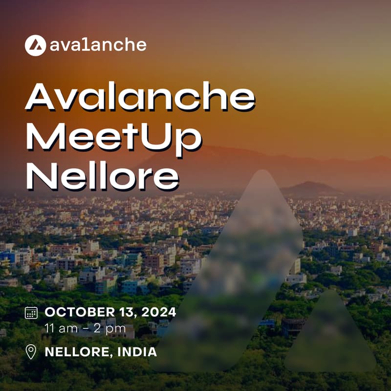 Cover Image for Avalanche MeetUp Nellore