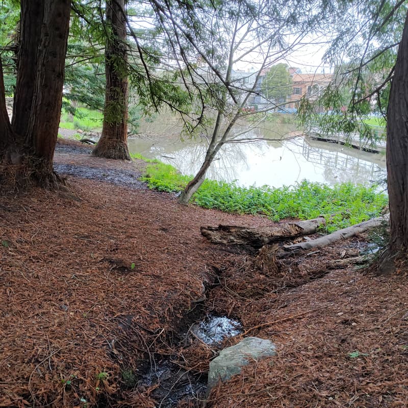 Cover Image for BioPharma Networking Hike: McLaren Park